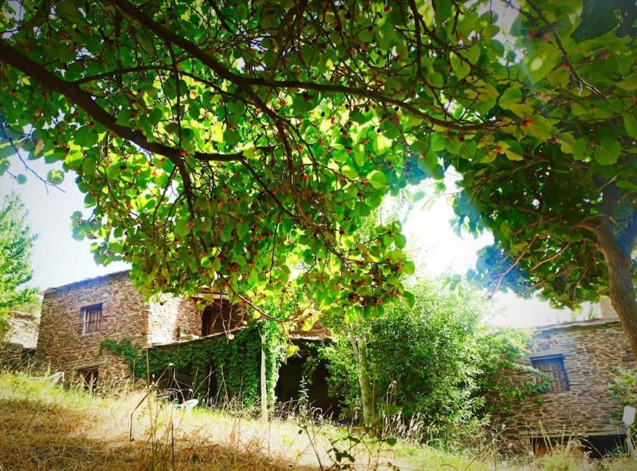Cortijo Rural El Albercon - Capileira - Alpujarra Rural Villa Bagian luar foto