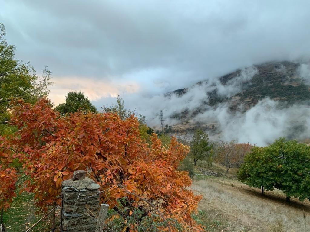 Cortijo Rural El Albercon - Capileira - Alpujarra Rural Villa Bagian luar foto