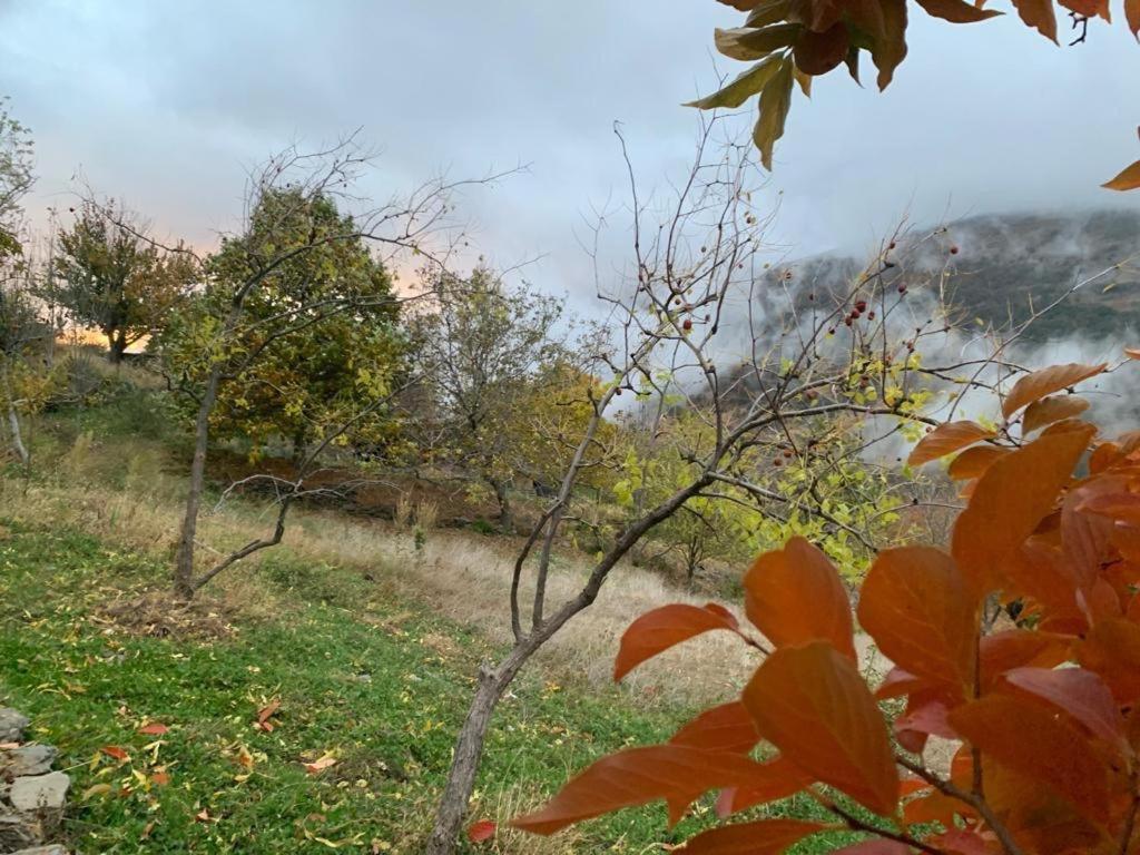Cortijo Rural El Albercon - Capileira - Alpujarra Rural Villa Bagian luar foto