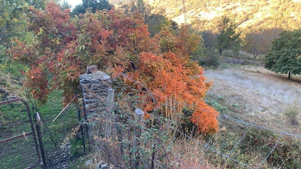 Cortijo Rural El Albercon - Capileira - Alpujarra Rural Villa Bagian luar foto
